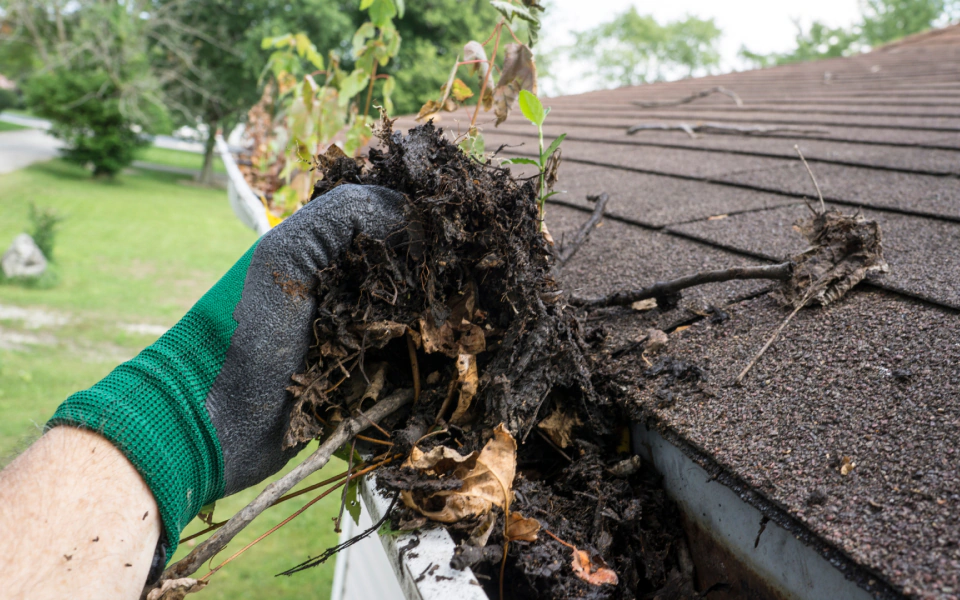 ongoing gutter cleaning